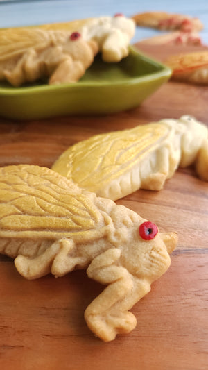 Cicada Silicone Cookie Mold