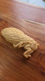 Cicada Silicone Cookie Mold