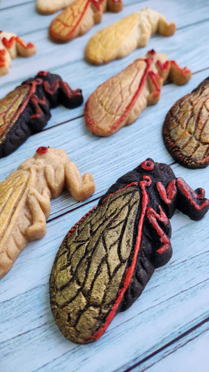 Cicada Silicone Cookie Mold