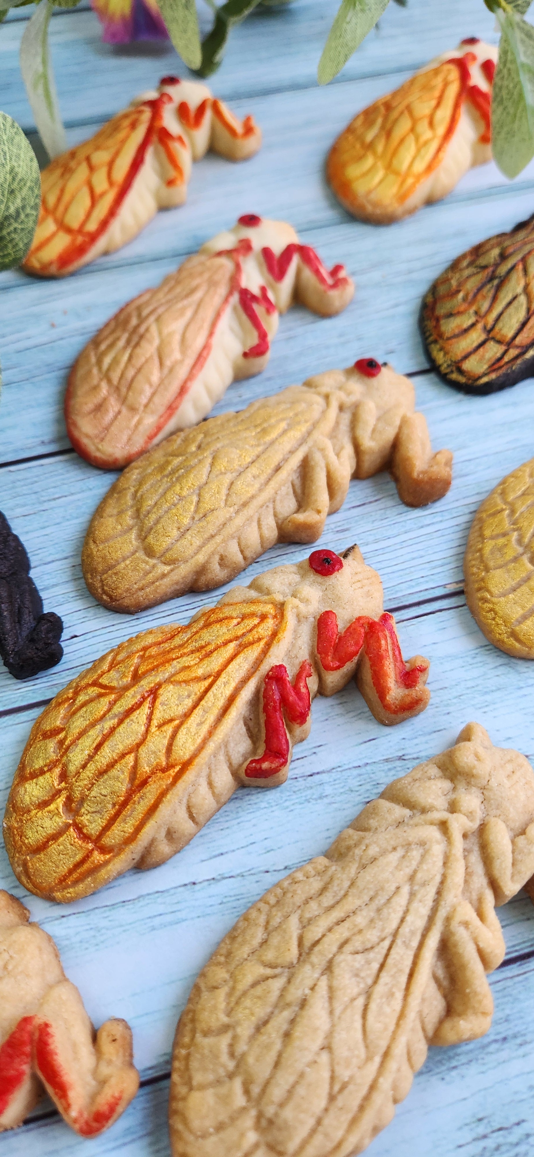 Cicada Silicone Cookie Mold