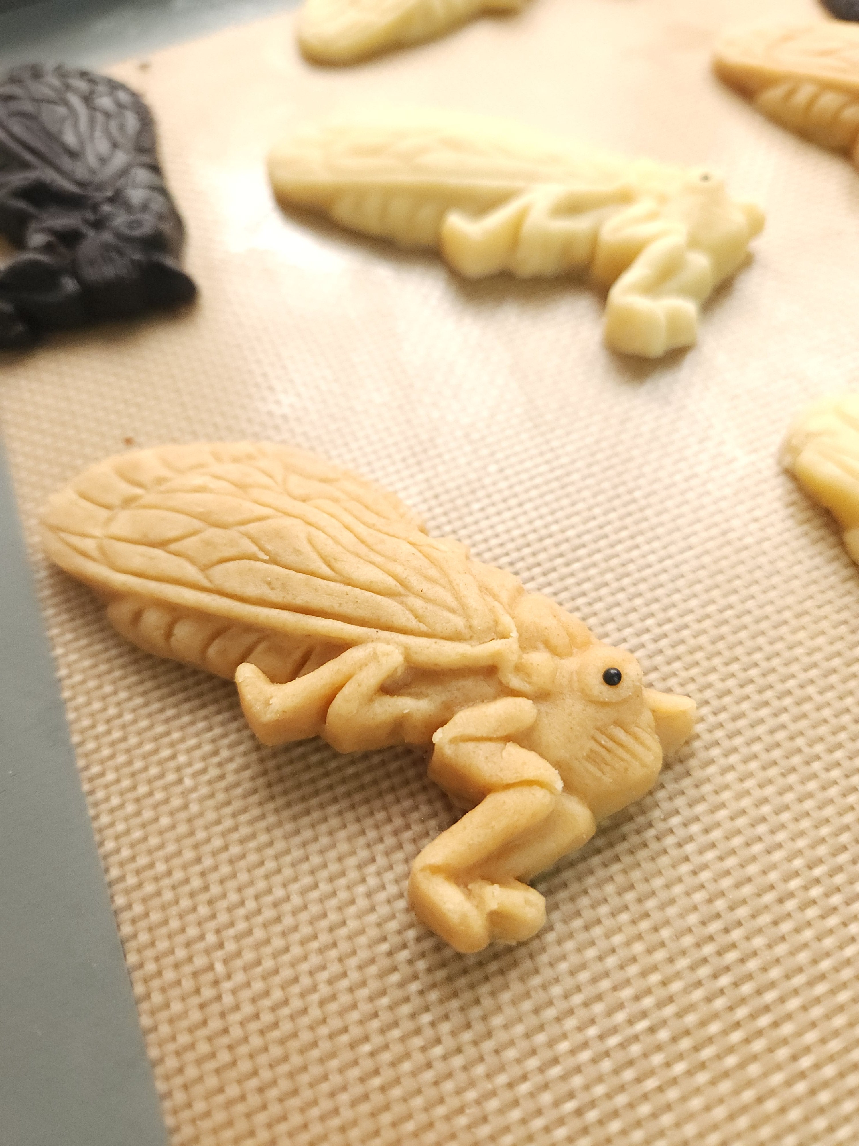 Cicada Silicone Cookie Mold