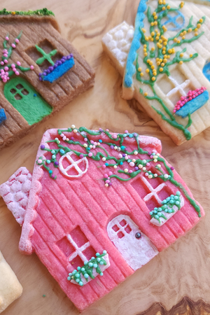 Home Silicone Cookie Mold