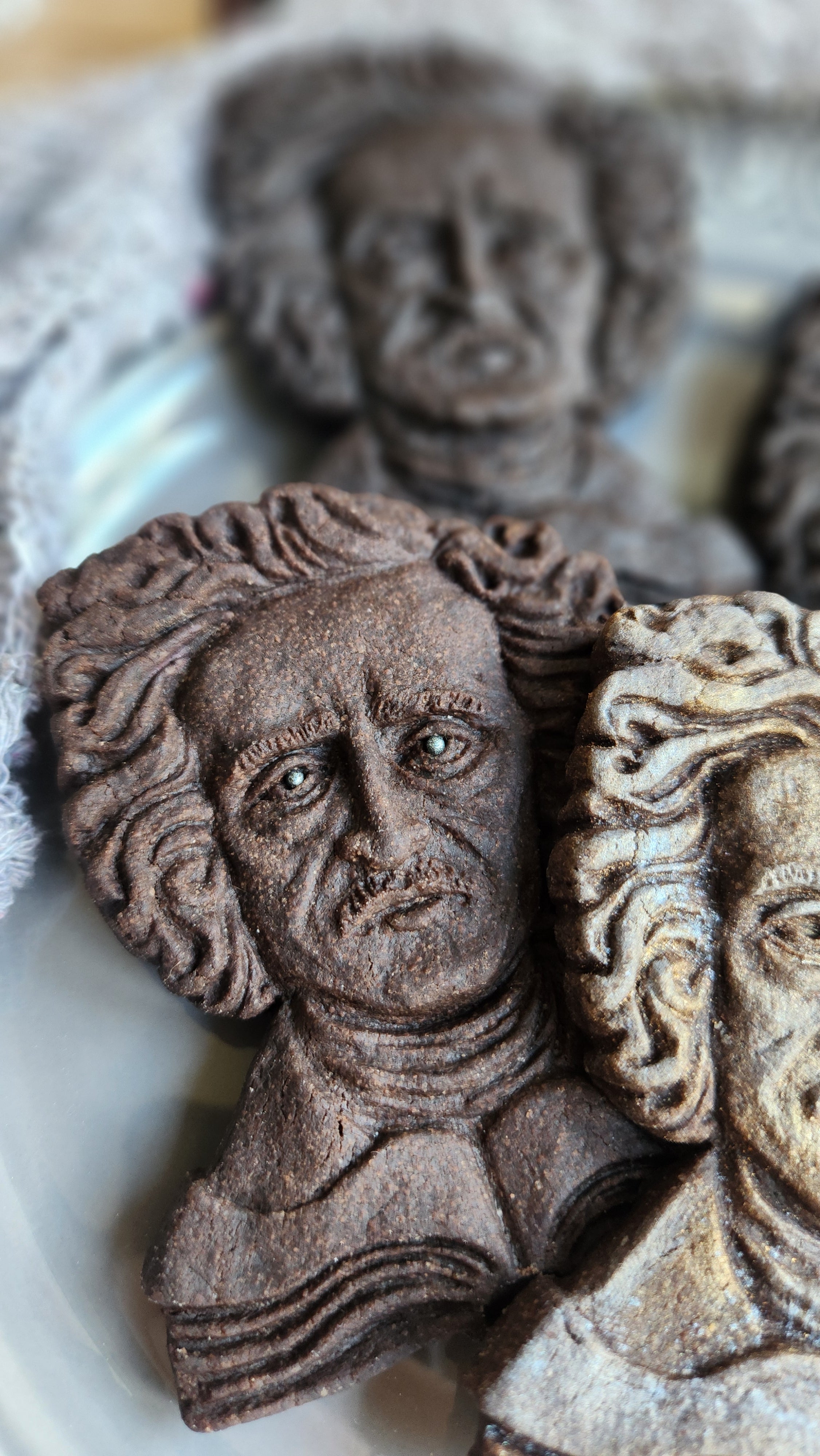 Edgar Allan Poe Silicone Cookie Mold