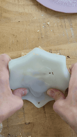 Spiderweb Silicone Cookie Mold