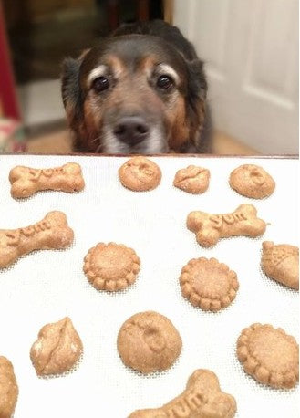 Dog Treat Silicone Cookie Mold – Artesão Cookie Molds