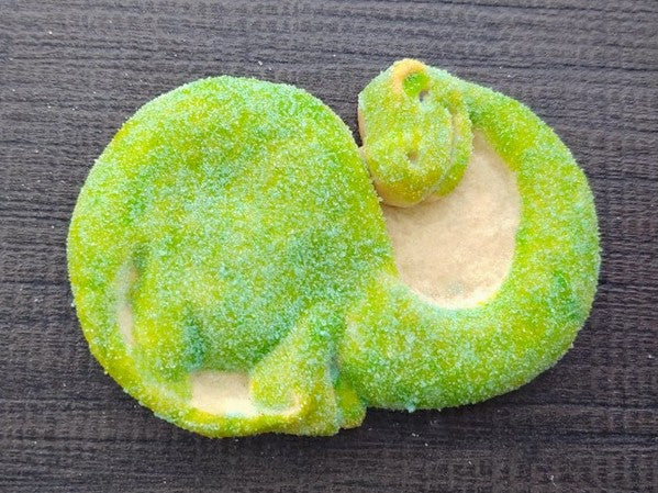 Dinosaur Silicone Cookie Mold