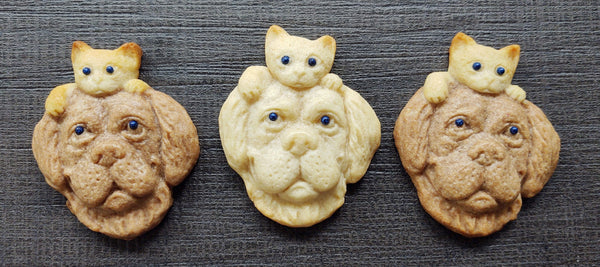 Koji Set/2 Chocolate Cat Dog And Monster Mold : Target