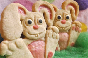 Funny Bunny Cookie Mold - Artesão Unique & Custom Cookie Molds