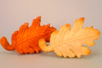 Oak Leaf Cookie Mold - Artesão Unique & Custom Cookie Molds