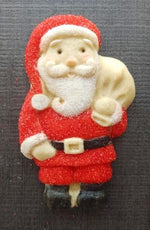 Santa Figure Silicone Cookie Mold